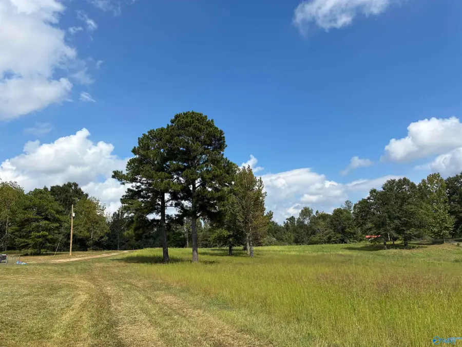 4561 Alabama Highway 68 W, Leesburg, AL 35983 - #2