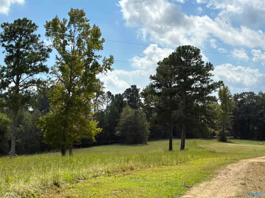 4561 Alabama Highway 68 W, Leesburg, AL 35983 - #3