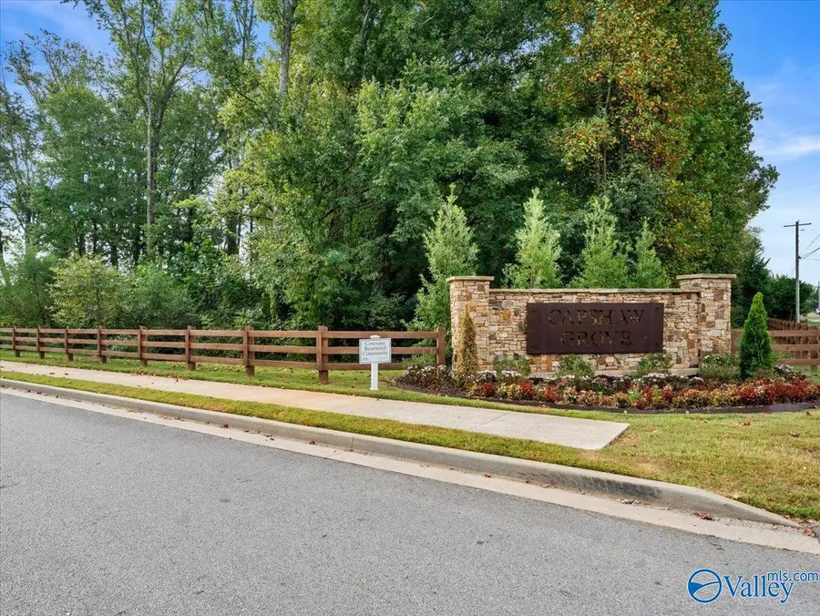 14237 Wildflower Drive, Harvest, AL 35749 - #2