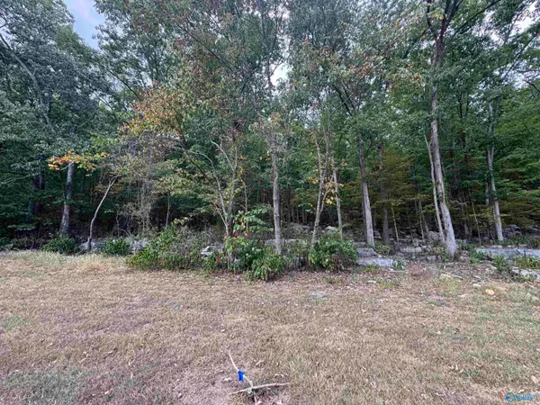 3117 Haver Hill Lane, Owens Cross Roads, AL 35763