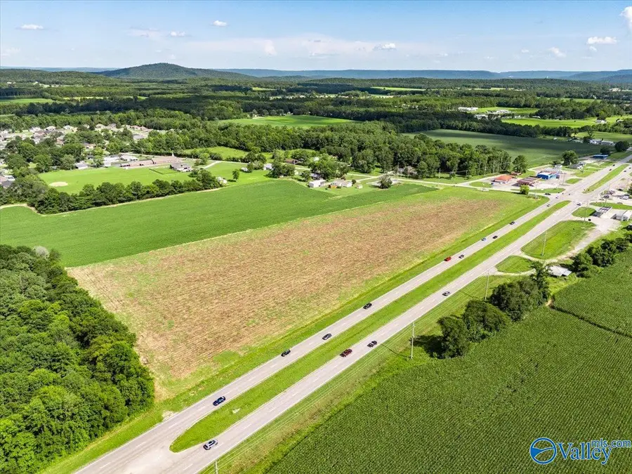 Pin#99718 Highway 431 S, Owens Cross Roads, AL 35763 - #3