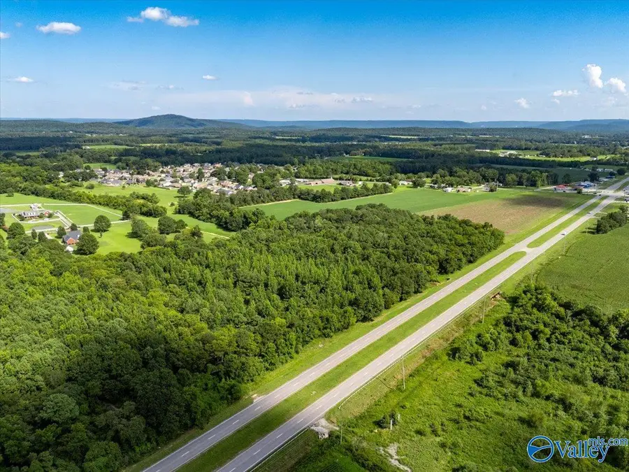 Pin#91402 Highway 431 S, Owens Cross Roads, AL 35763 - #2