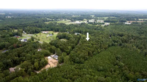 4.18 acres Paula Reed Road, Mountainboro, AL 35956