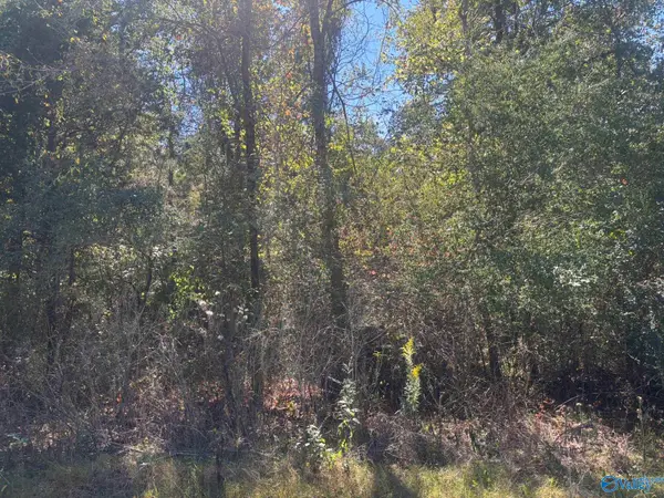 29 Iris Lane, Bridgeport, AL 35740