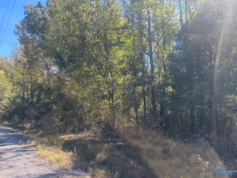 29 Iris Lane, Bridgeport, AL 35740 - #2