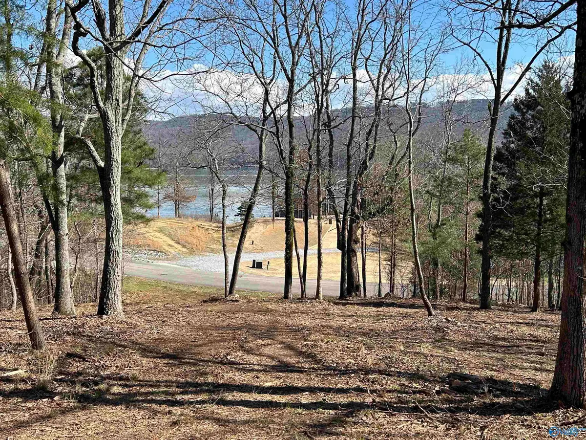 Lot 149 Lookout Mountain Drive, Scottsboro, AL 35769 - #1