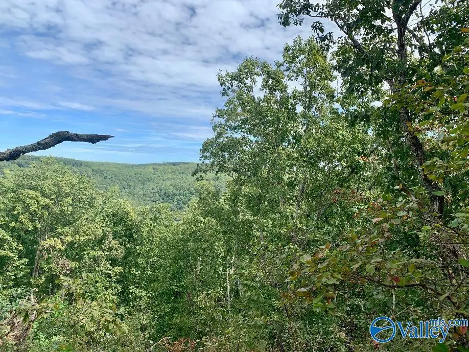 640 Blowing Cave Road, Gurley, AL 35748 - #1