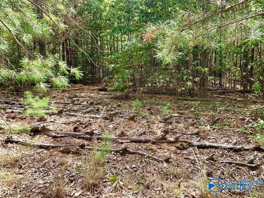 640 Blowing Cave Road, Gurley, AL 35748 - #3