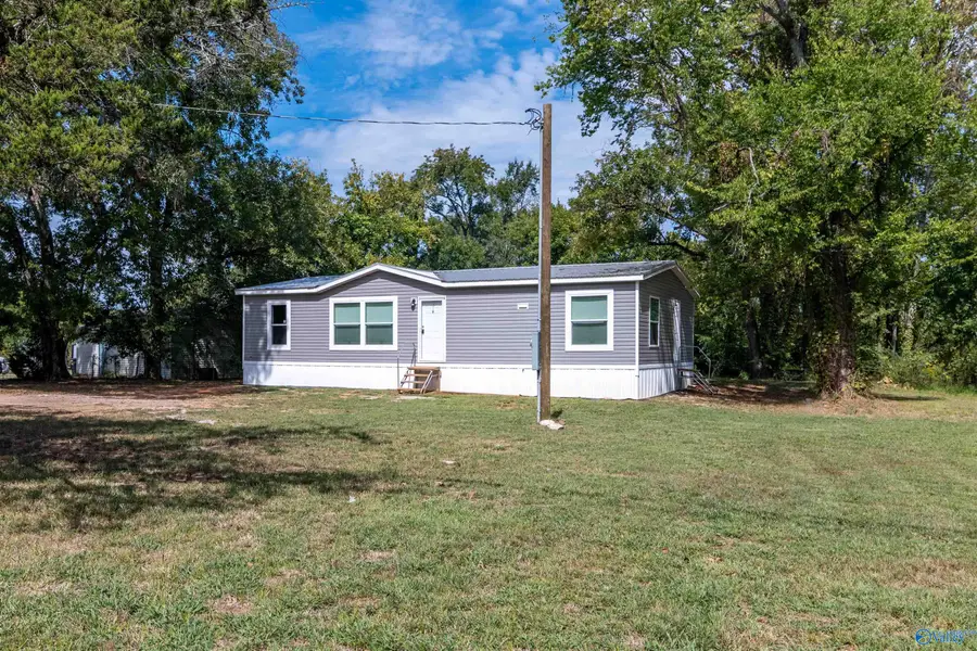 8363 Hwy 36, Danville, AL 35619 - #3