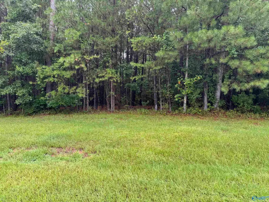 3+/- Brushy Creek Pointe, Arley, AL 35541 - #3