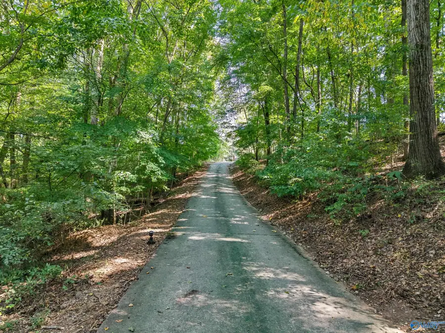 24674 Hwy 127, Elkmont, AL 35620 - #2