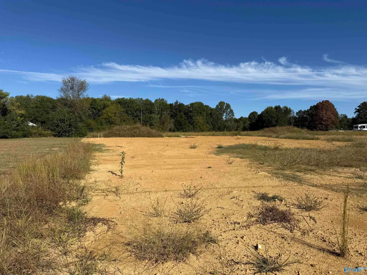 Lot 1 New Cut Road, Athens, AL 35611 - #1