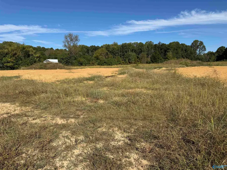 Lot 1 New Cut Road, Athens, AL 35611 - #2