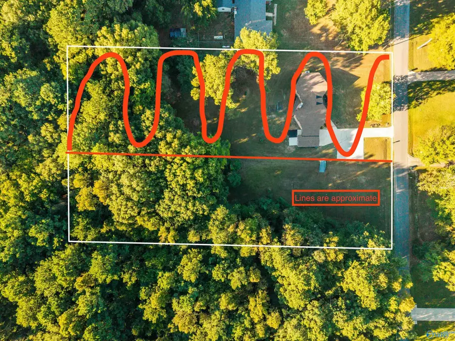 .95 acres Dawn Drive, Toney, AL 35773 - #3