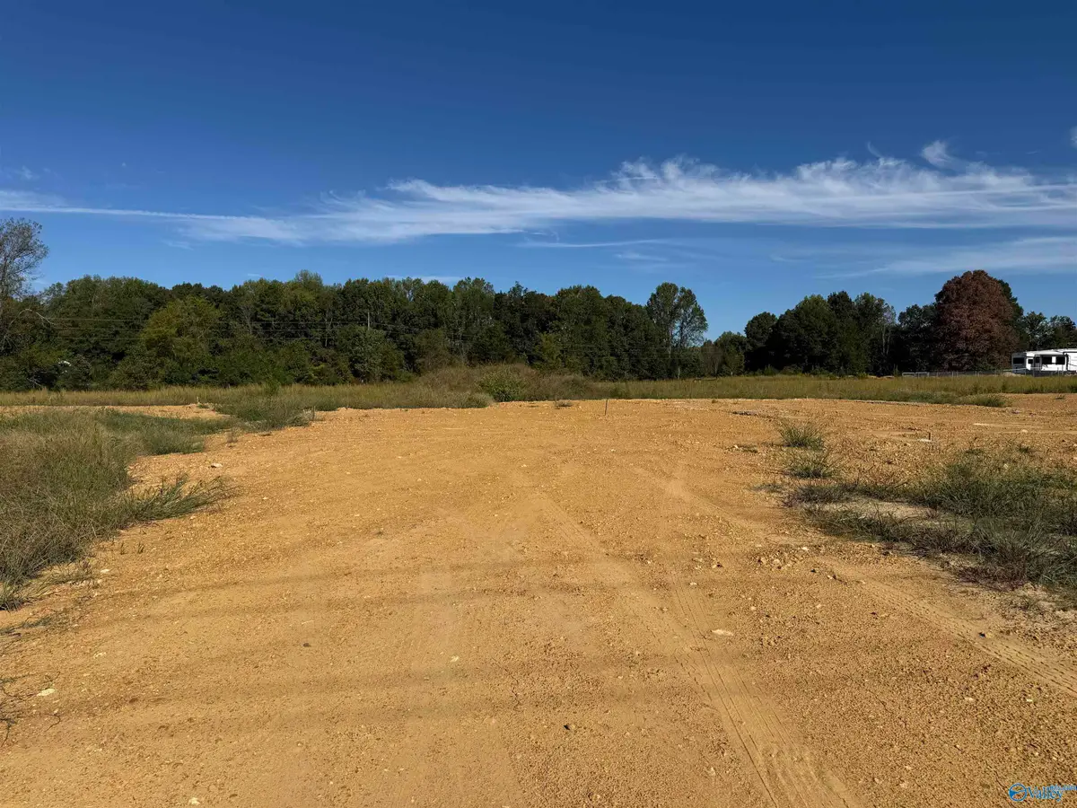 12017 New Cut Road, Athens, AL 35611 - #1