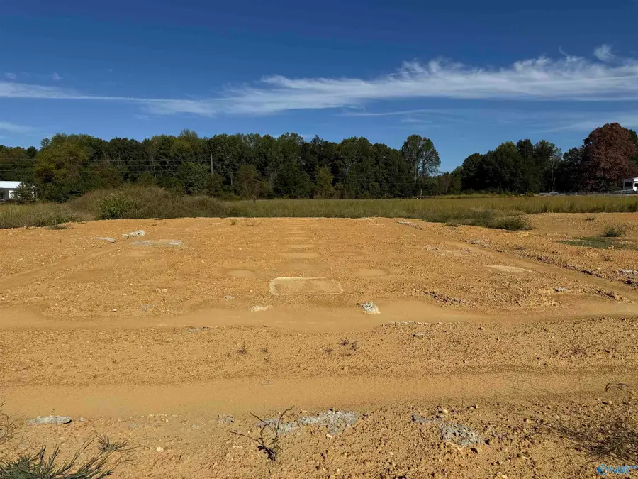 12017 New Cut Road, Athens, AL 35611 - #2