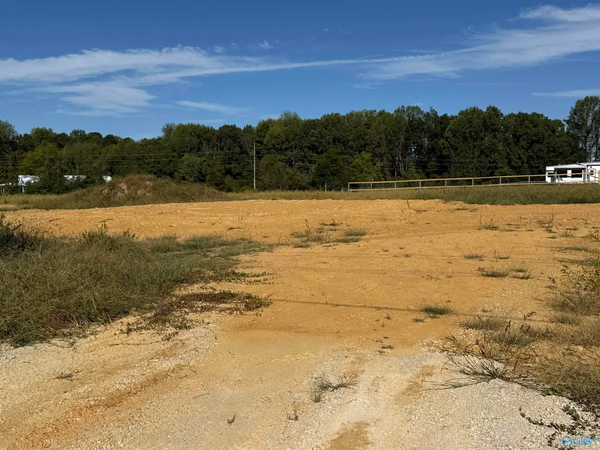 12051 New Cut Road, Athens, AL 35611 - #1
