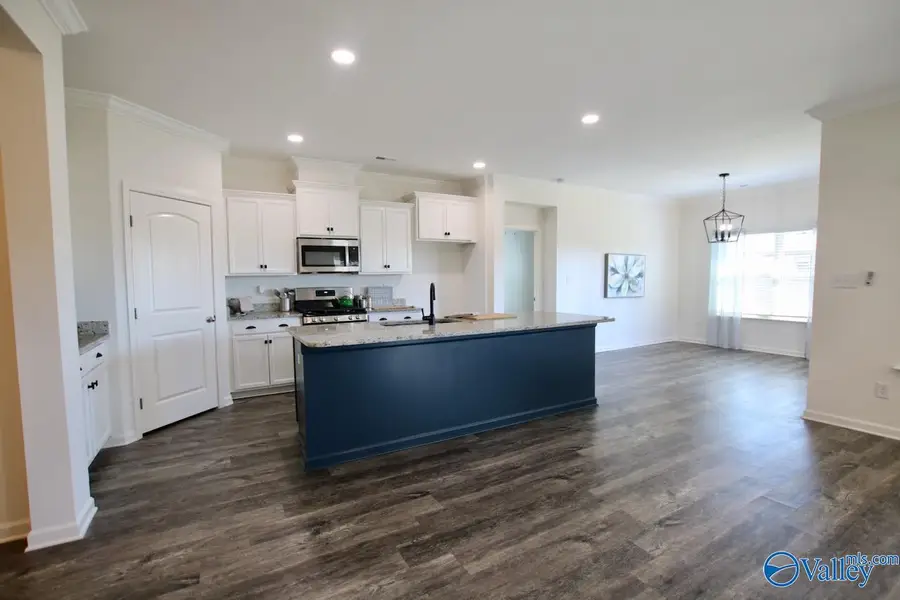 134 Sunlit Grove Drive, Harvest, AL 35749 - #3