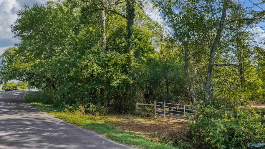 211 Bluff View Drive, Fort Payne, AL 35968 - #2