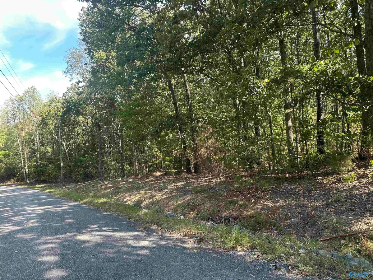 3 acres County Road 1025, Fort Payne, AL 35967 - #1