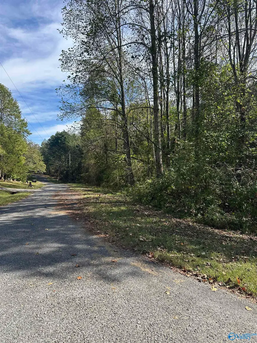 3 acres County Road 1025, Fort Payne, AL 35967 - #2