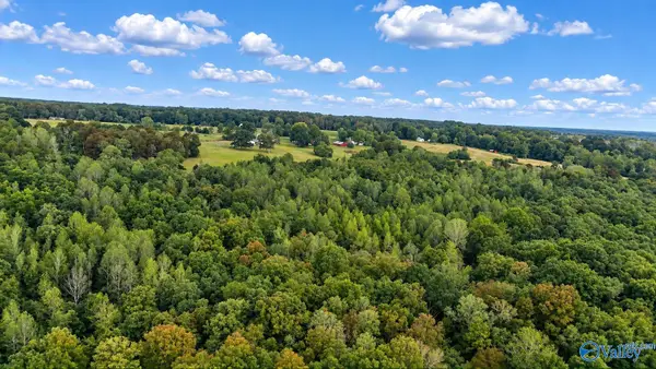 14 AC Wallace Avenue Nw, Fort Payne, AL 35967