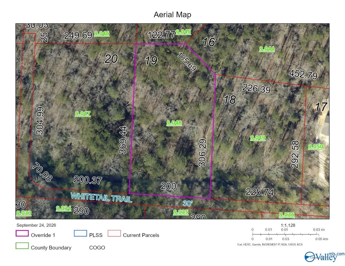 Lot 19 Road 903, Mentone, AL 35984 - #1