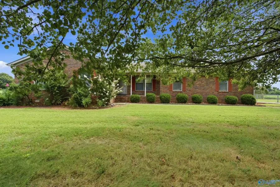 1035 Murphy Hill Road, Toney, AL 35773 - #2