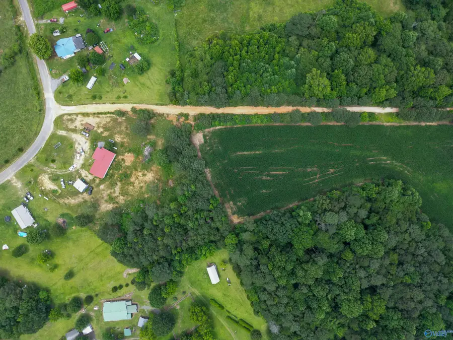 1.52 County Road 350, Fort Payne, AL 35967 - #2