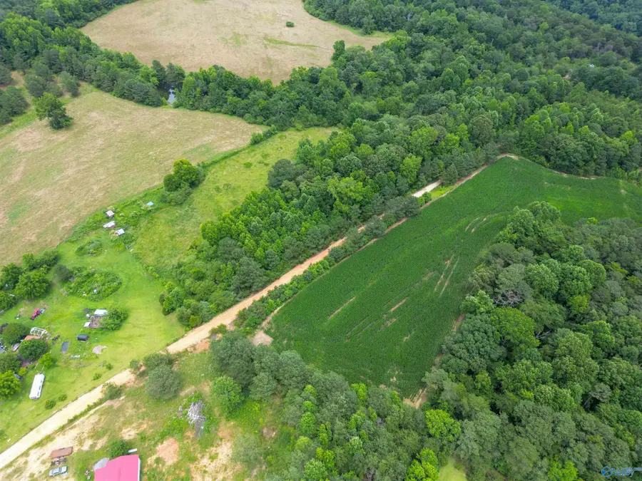 1.52 County Road 350, Fort Payne, AL 35967 - #3