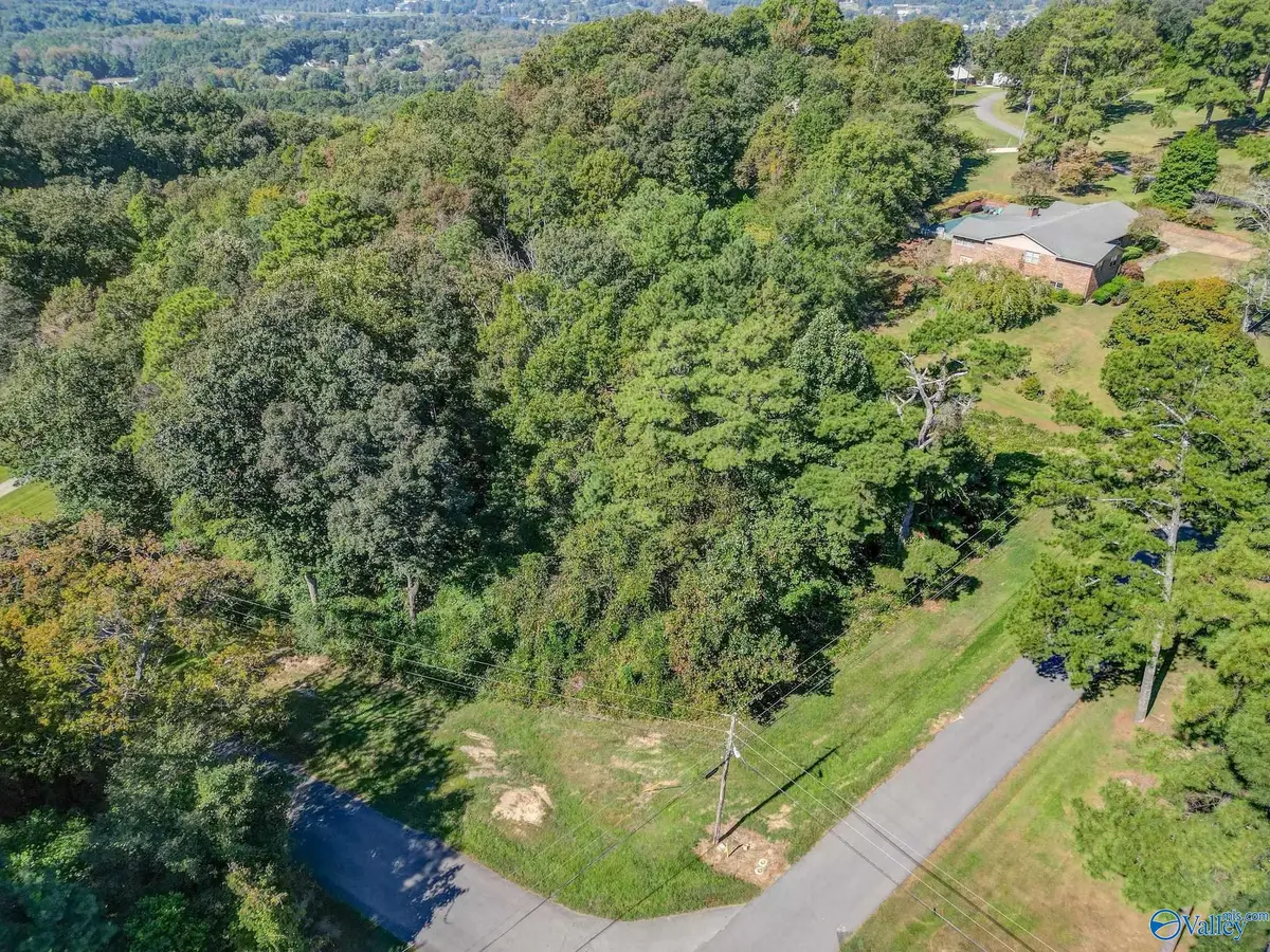 Lot 24 Windsor Drive, Guntersville, AL 35976 - #1