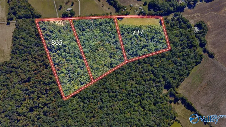 865 Old Winchester Road, New Market, AL 35761 - #2