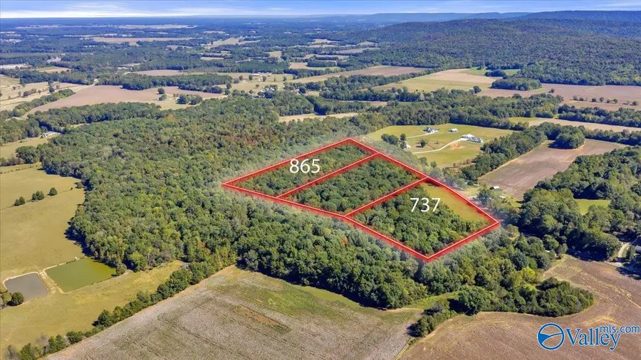 865 Old Winchester Road, New Market, AL 35761 - #3