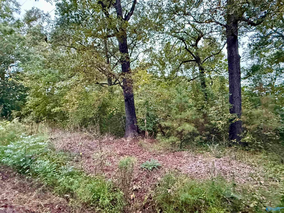 306 Brandon Street, Gadsden, AL 35901 - #1