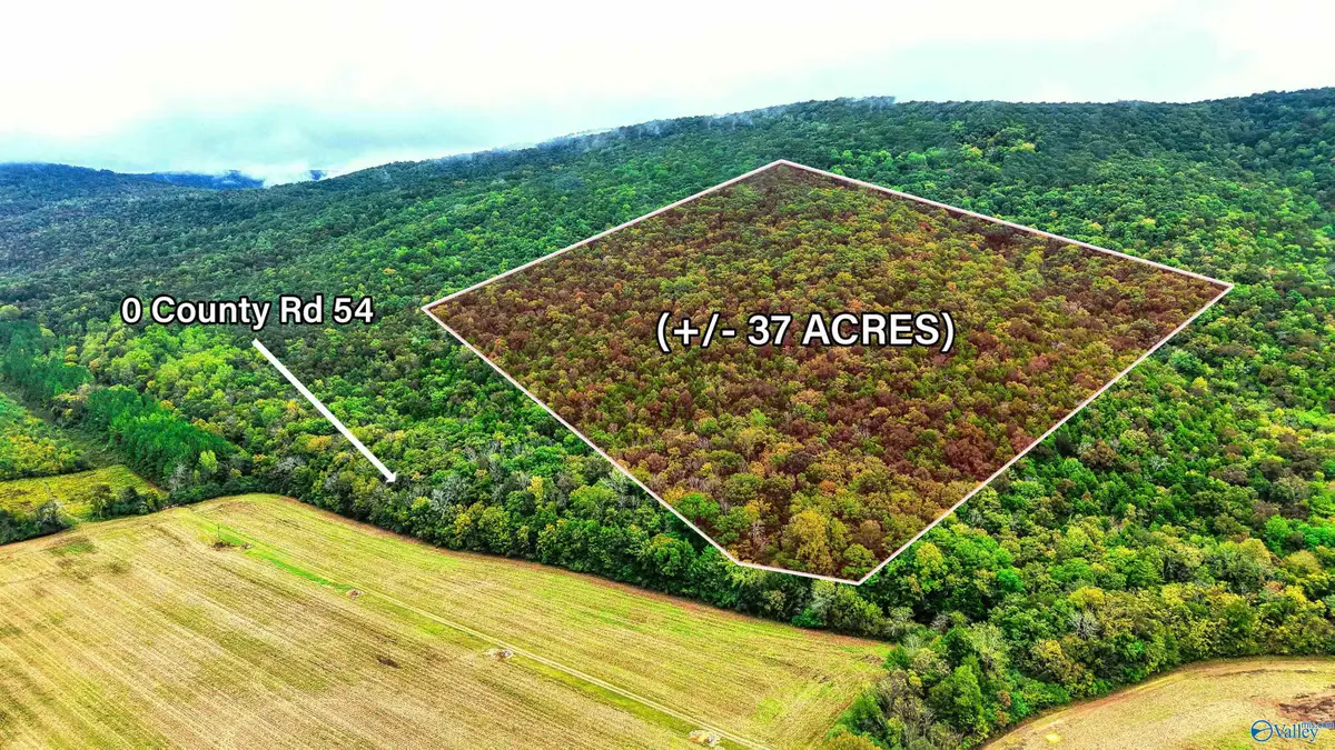 37 County Road 54, Stevenson, AL 35772 - #1