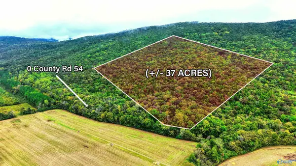 37 County Road 54, Stevenson, AL 35772