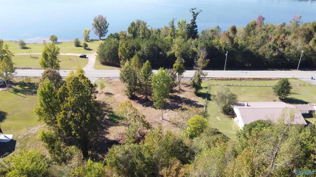 .48 Alabama Highway 227, Guntersville, AL 35976 - #1