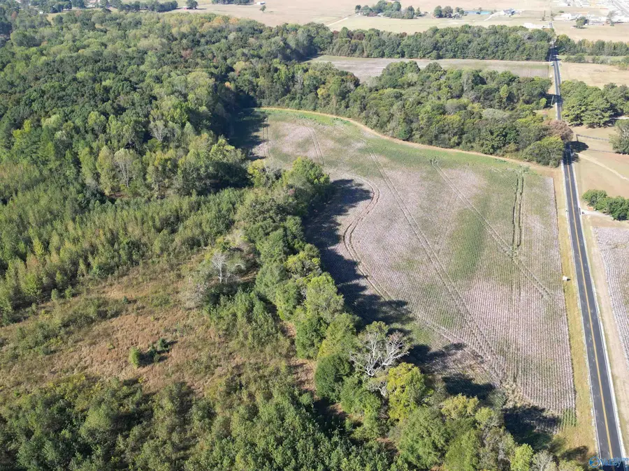 37 acres Ed Ray Road, Athens, AL 35613 - #3