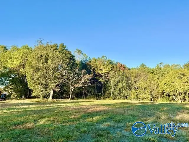 624 Kirby Bridge Road, Danville, AL 35619 - #1
