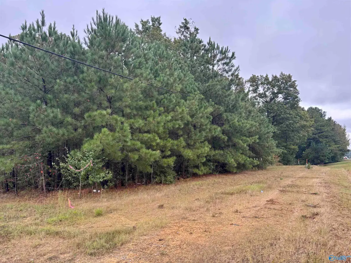 2.27 acre Highway 231, Arab, AL 35016 - #1