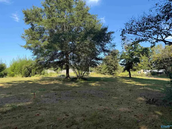 95 May Road, Hartselle, AL 35640