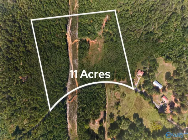 11 Acres County Road 297, Talladega, AL 35160