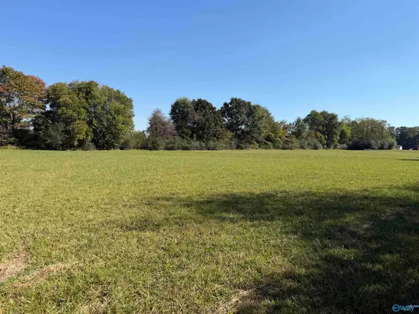 252 Old Baptist Road, ARDMORE, TN 38449