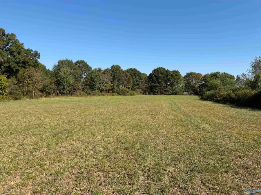 252 Old Baptist Road, Ardmore, TN 38449 - #2