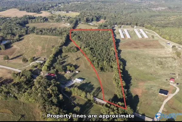20 acres Alabama Highway 101, Town Creek, AL 35672