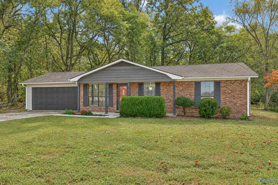 142 Deposit Road, New Market, AL 35761 - #3