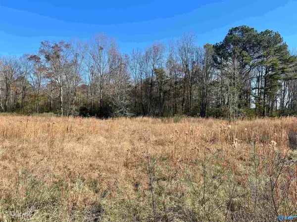 Track 3 County Road 69, Centre, AL 35960