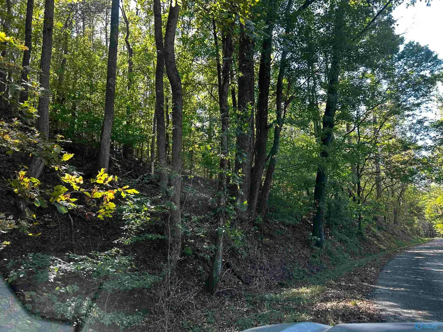 40 Roberts Road, Prospect, TN 38477 - #2