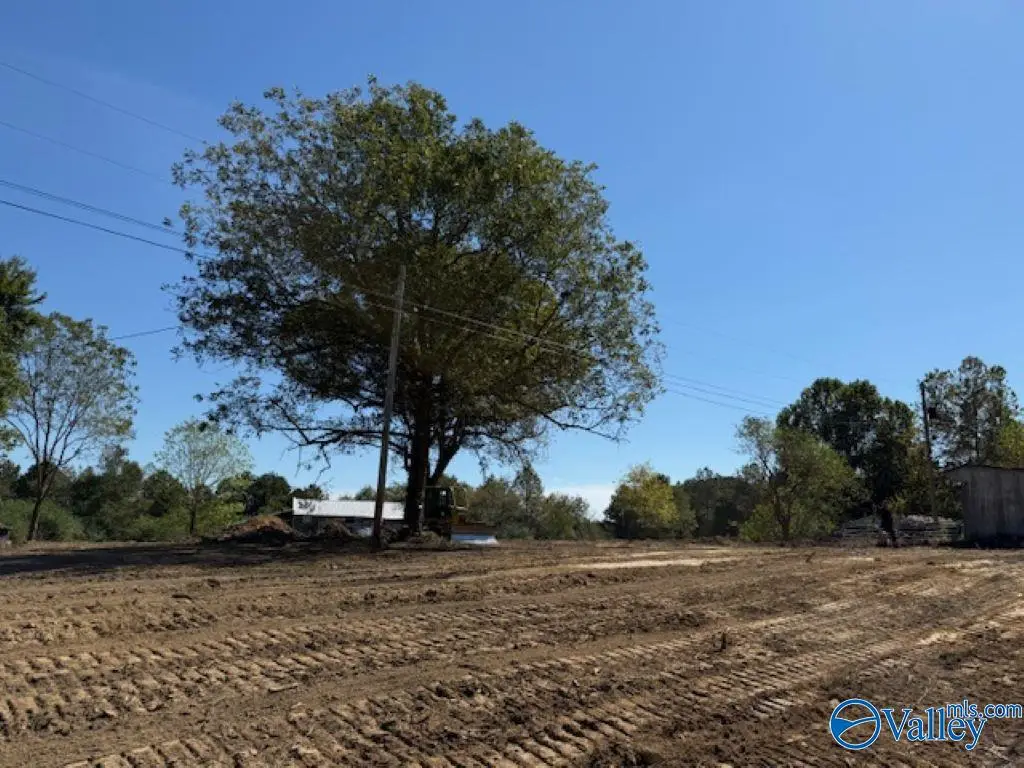 Lot 1 County Road 1497, Vinemont, AL 35179 - #1