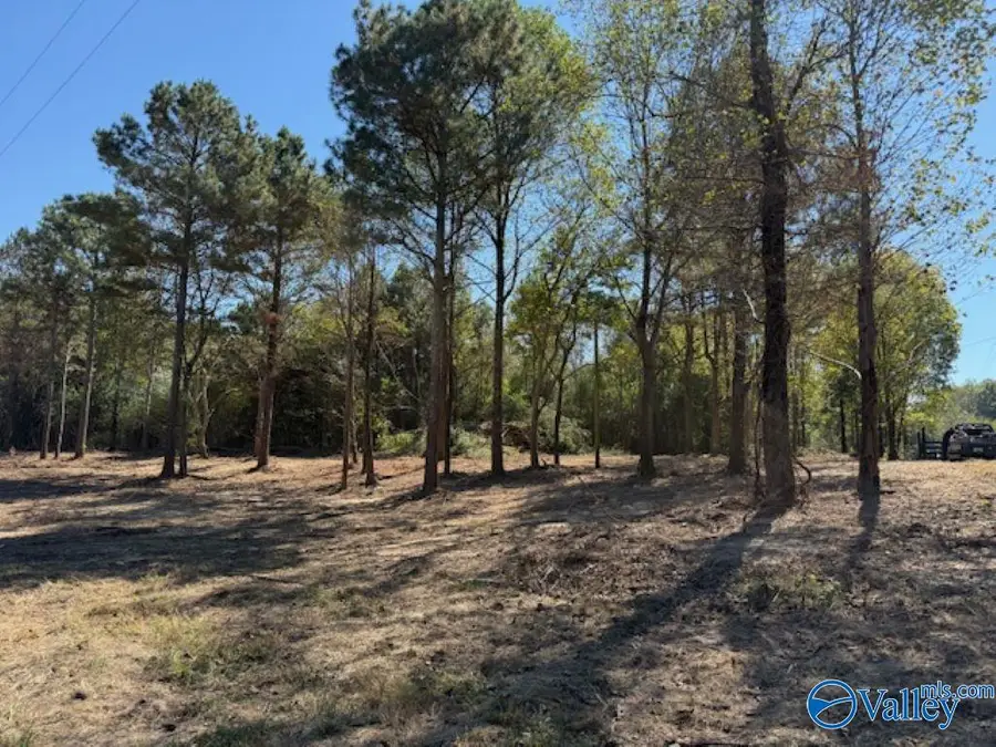 Lot 3 County Road 1497, Vinemont, AL 35179 - #2